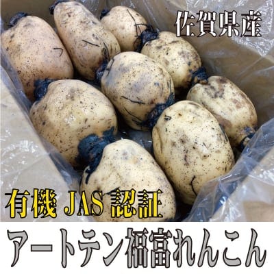 【有機JAS認証】アートテン福富れんこん1.5kg箱