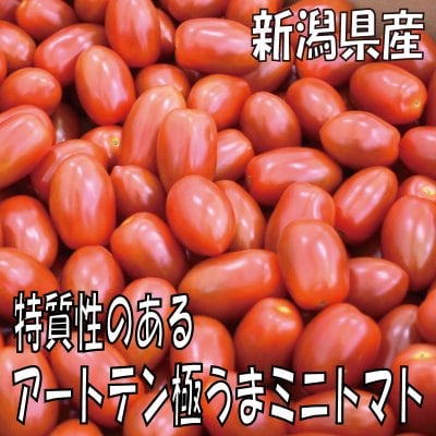 【遂に出荷開始!!】特質性のあるアートテン極うまミニトマト2kg箱 (５箱まで送料一律)