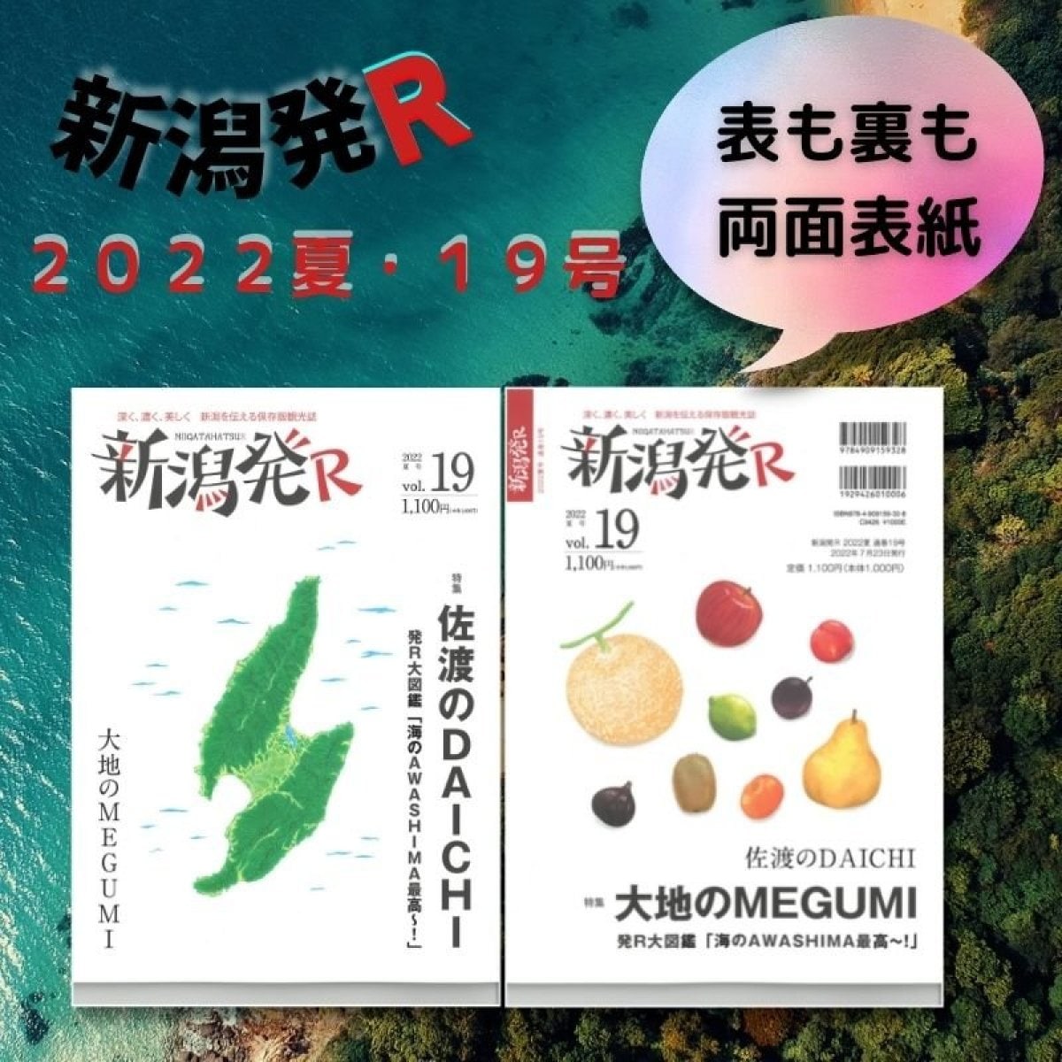 新潟発R 新潟を伝える保存版観光誌 2022夏号Vol.19
