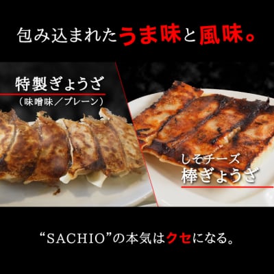SACHIO特製 岡崎餃子セット