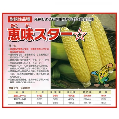 【送料無料】約2kg!!鳥取大山の麓で育った生でも食べれるトウモロコシ