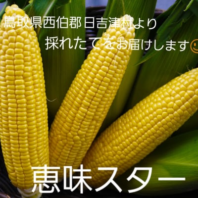 【送料無料】約1㎏!!鳥取大山の麓で育った生でも食べれるトウモロコシ