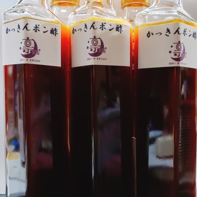 【送料無料】低糖質❕❕かっきんポン酢2本セット