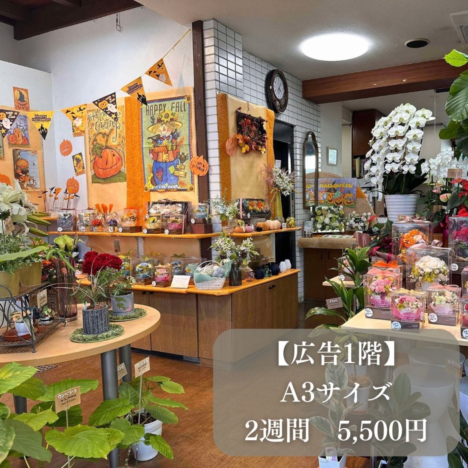 A3サイズ広告 (2週間)　１階 l 田園調布【赤キ屋広告】