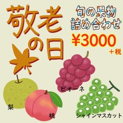 【敬老の日】フルーツ詰合せ|3000
