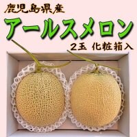 鹿児島県産｜アールスメロン(2玉入)