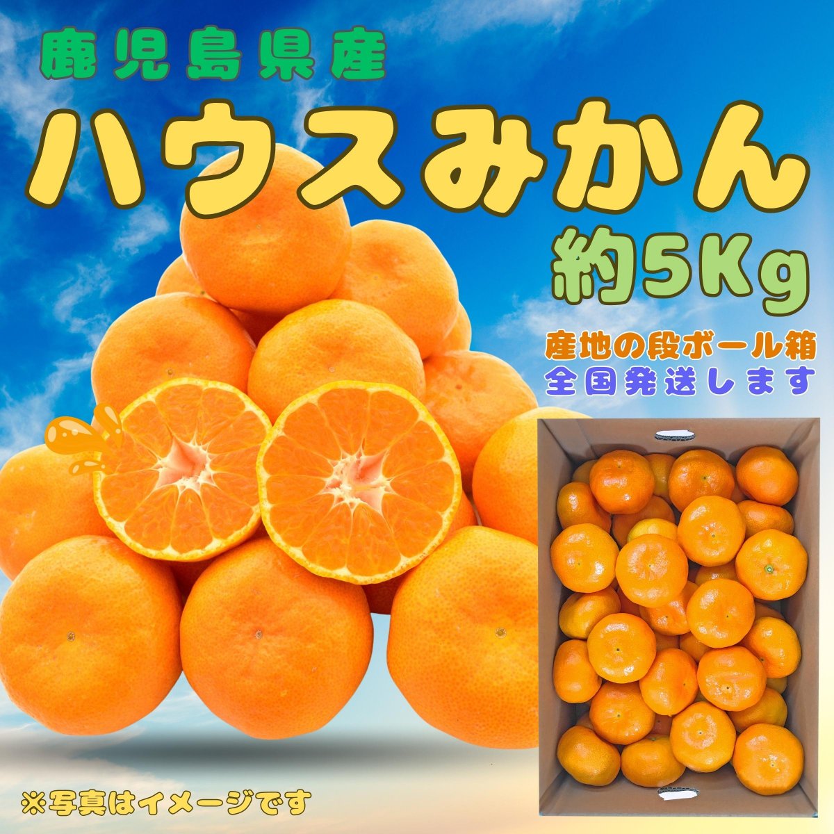 特集商品画像