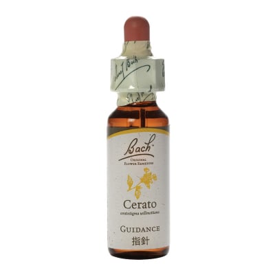 9.クレマチス10ml(バッチフラワーレメディ)集中力アップに。
