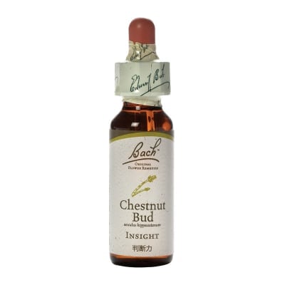 7.チェストナットバッド10ml(バッチフラワーレメディ)同じ失敗を繰り返す時に。