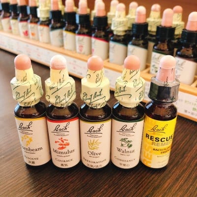 新年度応援セット✨