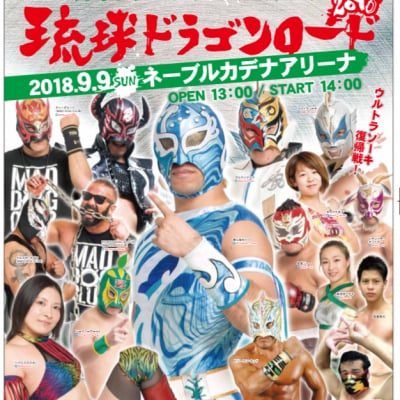 【DVD】バッファロー、沖縄襲来!2018.9.9琉球ドラゴンロード2018