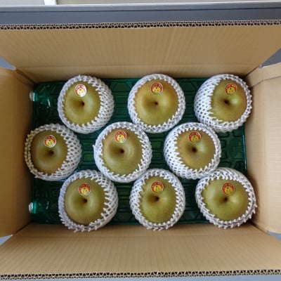 幸水 5kg箱9個入
