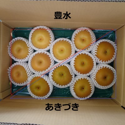 あきづき(6個)+豊水(6個) 5㎏箱 12個入り