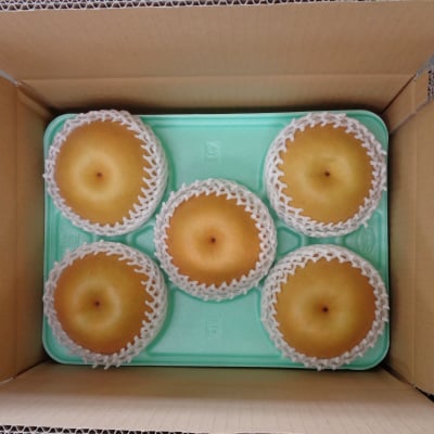 新高 3㎏箱 5個入り