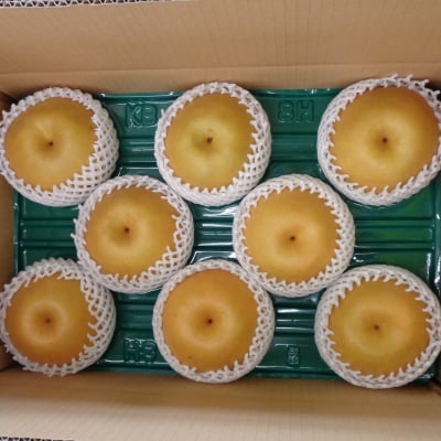新高 5㎏箱 8個入り