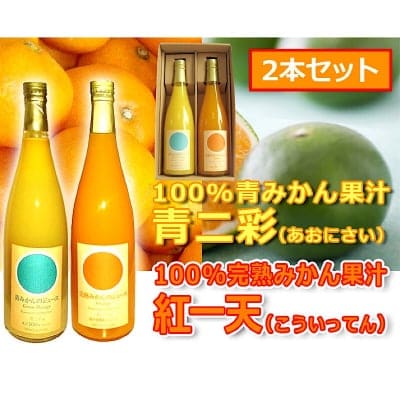 【2022年販売開始予定!】樹上完熟みかん&青みかん100%ストレートジュース600ml各1本ずつ