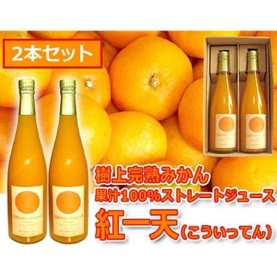 紅一天(こういってん) 600ml×2本セット 完熟みかん果汁100%ストレートジュース
