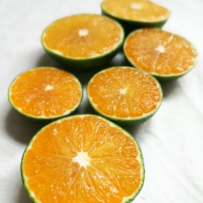 【はや早生みかん2kg】うきこ農園で育った皮まで食べられる無農薬みかんと小さなプレゼント付き!