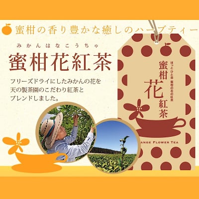 みかんの花の紅茶「蜜柑花紅茶」:フリーズドライ【ティーバック】
