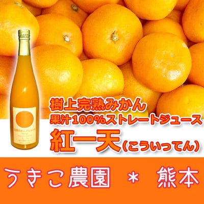 ［まとめ買い専用］紅一天(こういってん) 600ml×12本！完熟みかん果汁100%ストレートジュース
