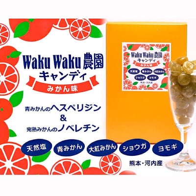 バージョンアップしたみかん飴「WAKUWAKU農園キャンディ」24粒