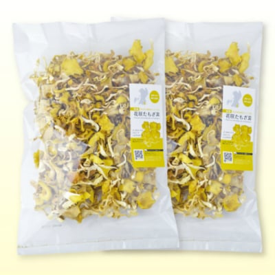 【100g入り 2袋セット】乾燥花咲たもぎ茸