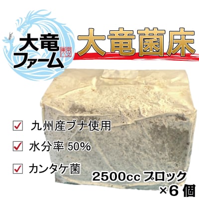 クワガタ専用 大竜菌床(2500ccブロック)6個セット