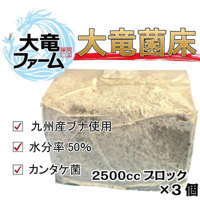 クワガタ専用 大竜菌床(2500ccブロック)3個セット