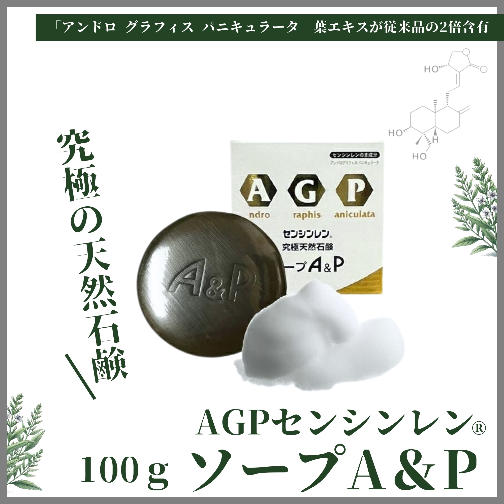 高級A&Pソープ センシンレン石鹸 100g（驚異のハーブ・センシンレン(穿心蓮)〜［Fuji.Top.Japan］