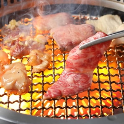【龍土町コース】赤身肉・霜降り肉どちらも味わえるベーシックなコース＜全7品(10種)＞