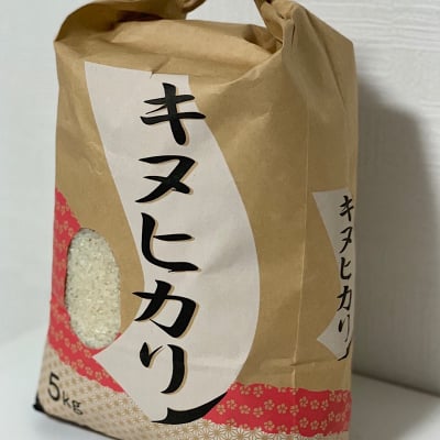【白米・5Kg】和歌山県産キヌヒカリ(一等米)産地直送便