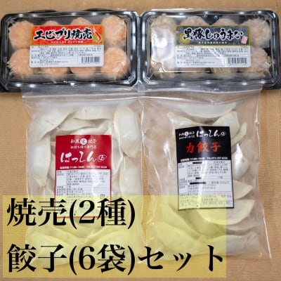 送料無料|冷凍餃子6袋 冷凍焼売2パック セット