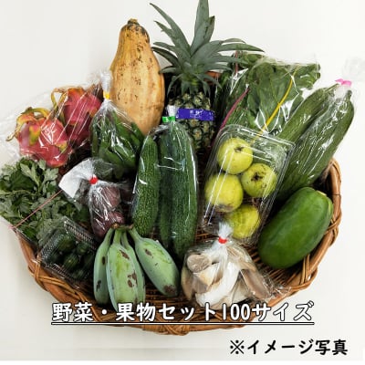 野菜・果物セット100サイズ