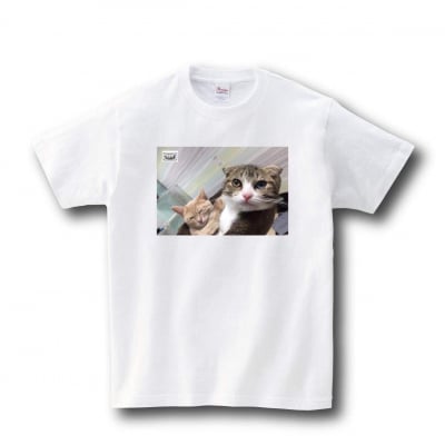 7月中旬発送 Tシャツ アポロくん