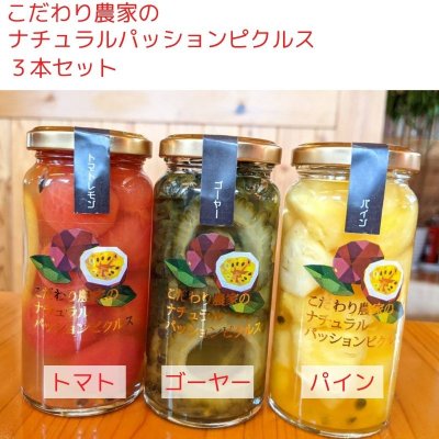 【高ポイント還元】こだわり農家のナチュラルパッションピクルス 3本セット