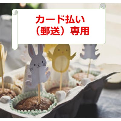【スタッフ専用】カード払い(郵送)用