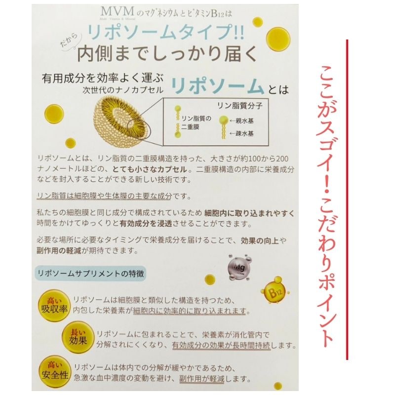 細胞から身体を元気に！MVM（マルチビタミンミネラル