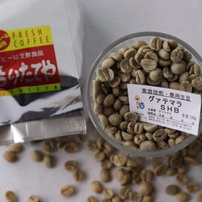 生豆 グァテマラ SHB 100g
