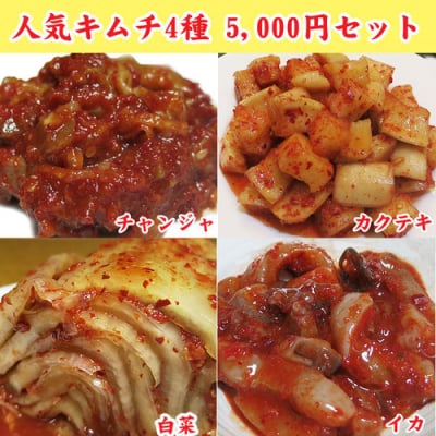 人気キムチ通販4種5000円セット