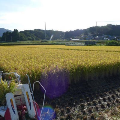 <復興応援!>残り1袋!福島県田村市産 特別栽培米「ひとめぼれ」30kg(精米済み)