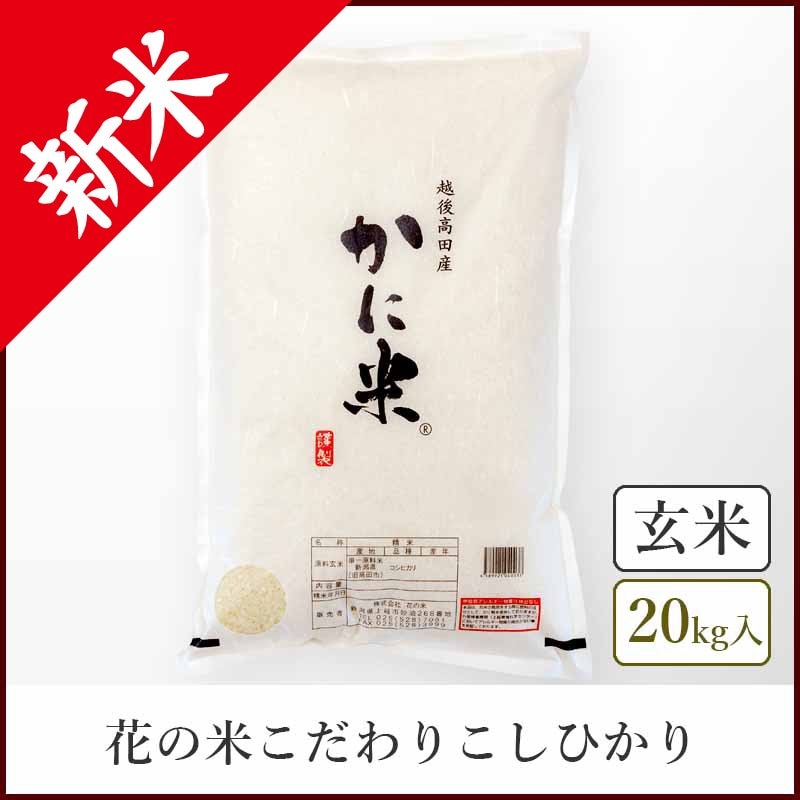 コシヒカリ　玄米　20キロ 令和6年コシヒカリ玄米20キロ