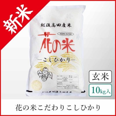 かしゅーなっつ( ´ ꒳ ` )さん専用 玄米 上越米 食品