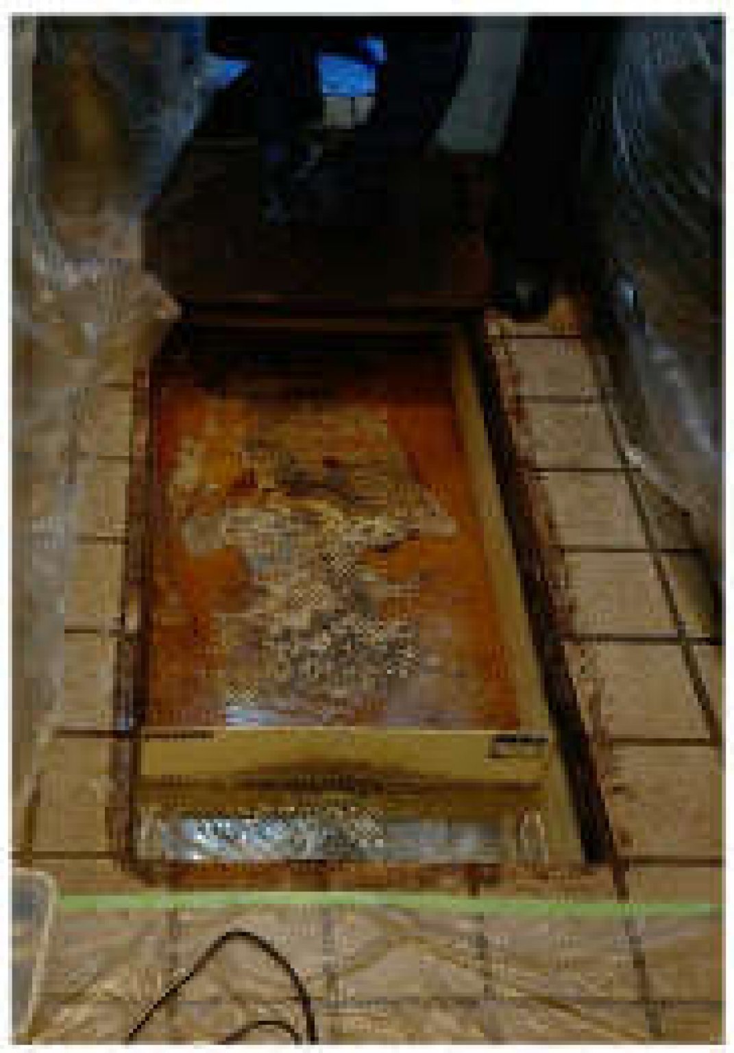 グリストラップクリーニングお試し