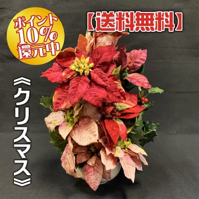《送料無料》【季節のアレンジメント・冬】クリスマスの小さなかわいいアレンジメントフラワー/置き41