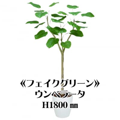 《送料無料》【フェイクグリーン】ウンベラータ1800/fg-0003