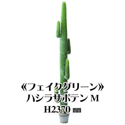 《送料無料》【フェイクグリーン】ハシラサボテンM2370/fg-0005