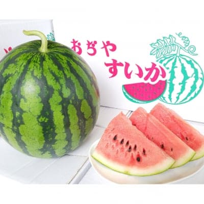 【糖度12以上】農園ビギンさんのスイカ【3Lサイズ】1玉|新潟県小千谷産|お中元|贈り物にもおすすめ