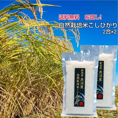 【送料無料】お試し用!!【魚沼産|自然栽培米コシヒカリ】300g×2袋【無農薬|無肥料】