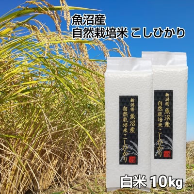 【魚沼産|自然栽培米コシヒカリ】「白米」10㎏(1㎏×10袋)【無農薬|無肥料】