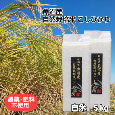 【魚沼産|自然栽培米コシヒカリ】「白米」5㎏【無農薬|無肥料】